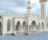 215bb687783599.5dc2aed27ba22