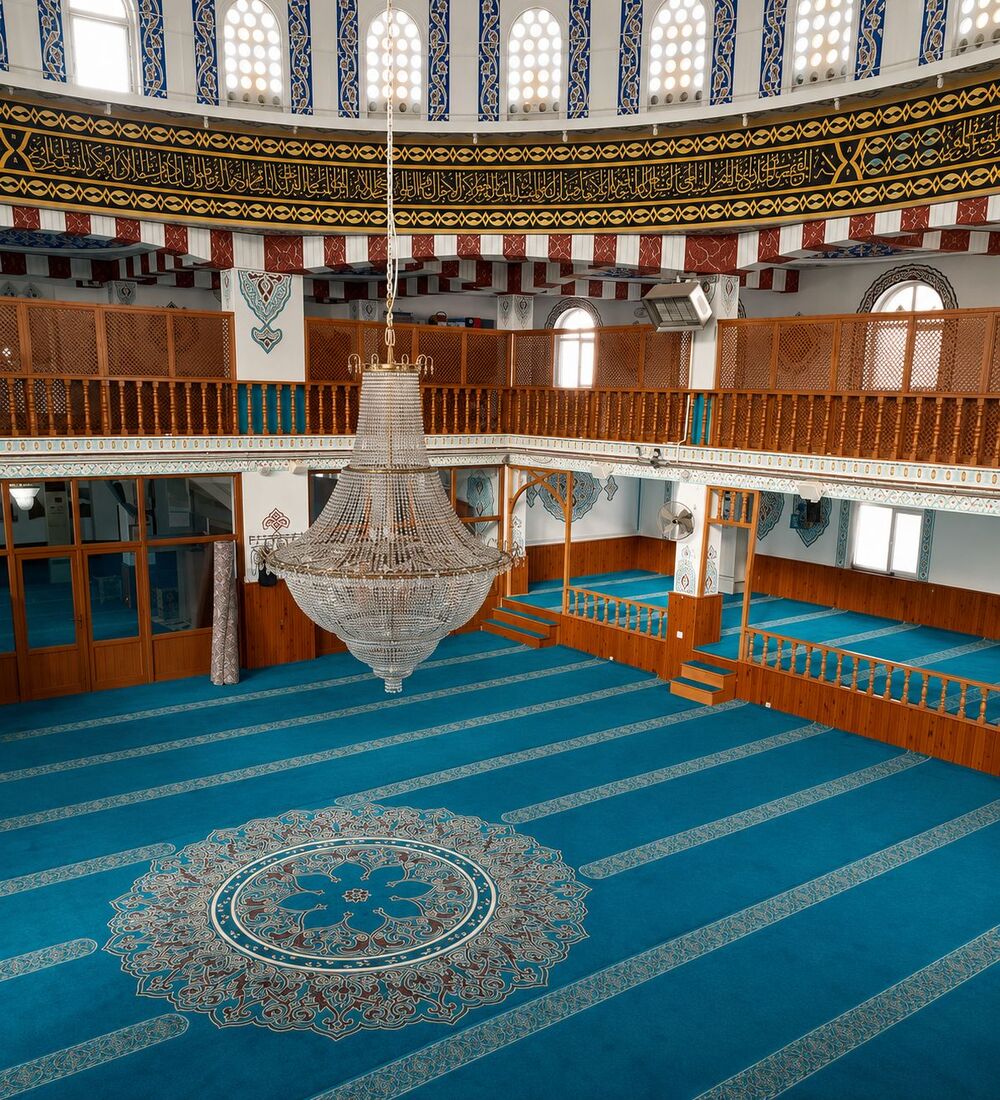 Camihalısı16