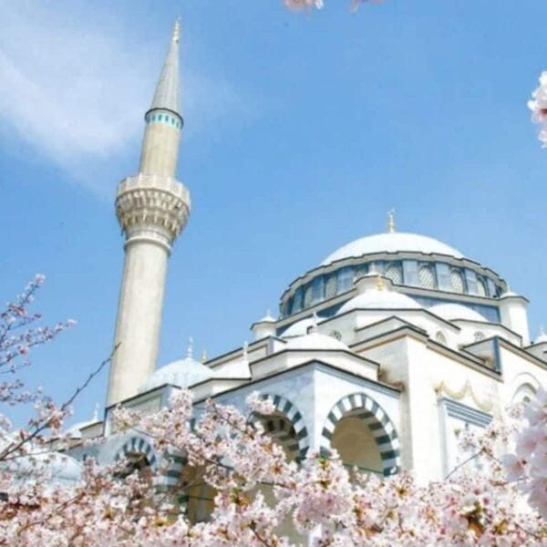Tokyo Mosque Design Project