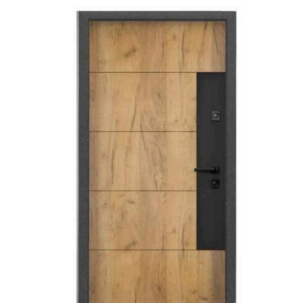 Metal Cami Giriş Kapısı – Model MDR-0005 – Detay Görünümü 1